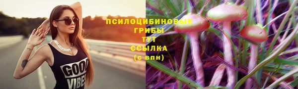 винт Касимов
