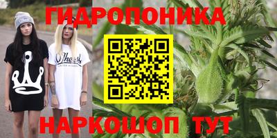 прущий лед Аргун