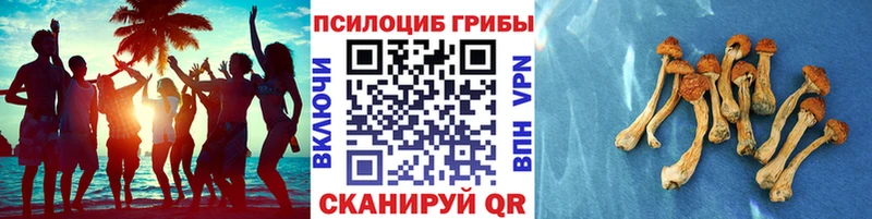 наркота  Барнаул  Галлюциногенные грибы прущие грибы 